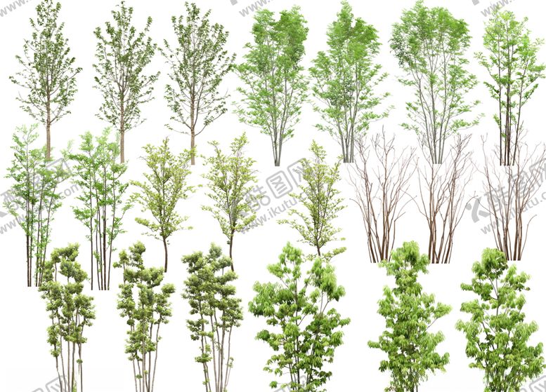 编号：22325604191618096718【酷图网】源文件下载-园林景观树木植物绿化图片
