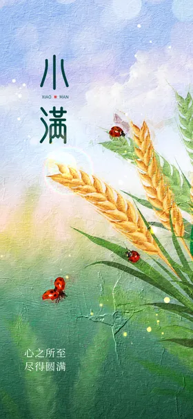 小满节气海报芒种麦穗24