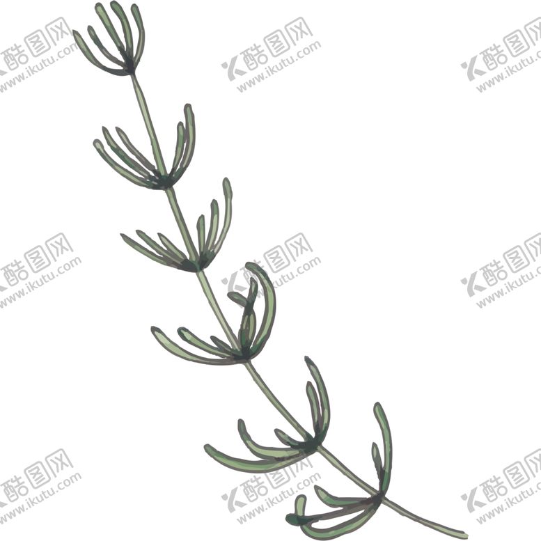 编号：98455007021812003581【酷图网】源文件下载-叶子图片