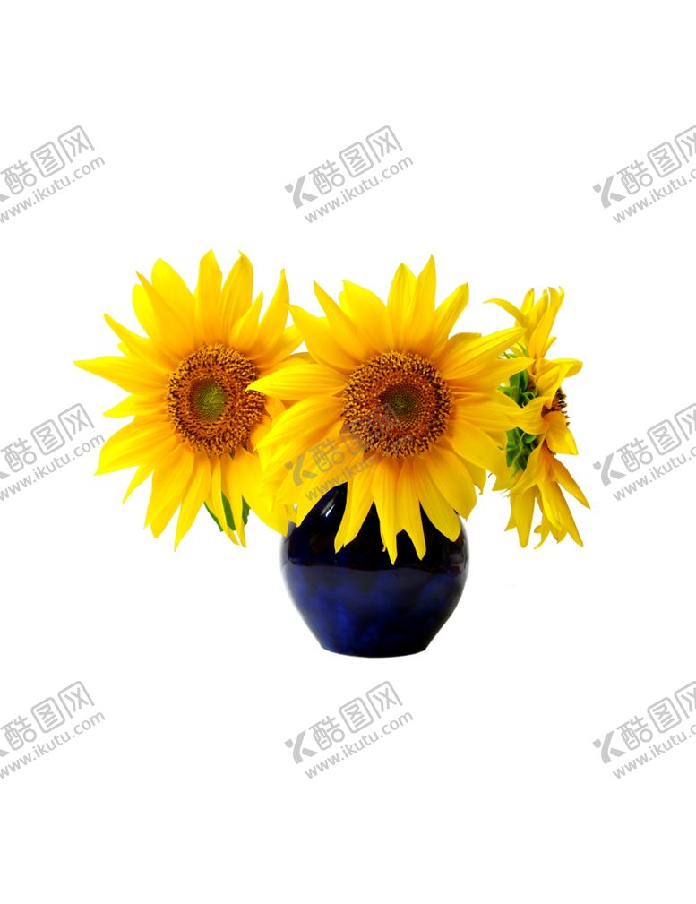 编号：36749009231251058628【酷图网】源文件下载-向日葵