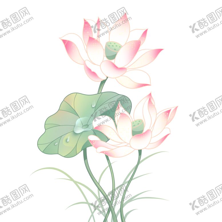 编号：33350412072348025287【酷图网】源文件下载-免扣荷花素材