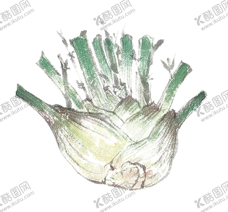 编号：25557607141015489619【酷图网】源文件下载-绿色装饰
