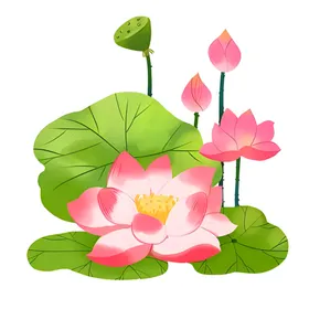 荷花素材夏天海报立夏夏天背景立夏海报