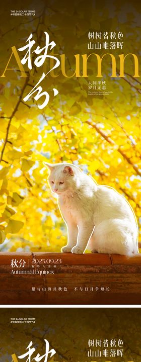 秋分节气海报
