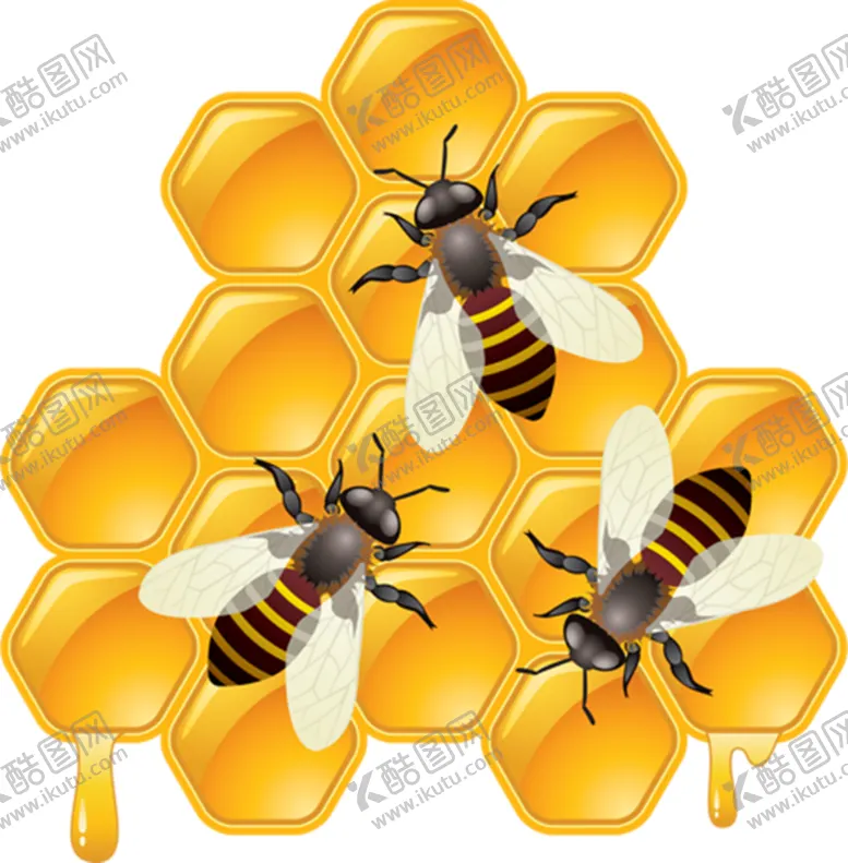 编号：75792606250214159514【酷图网】源文件下载-蜜蜂