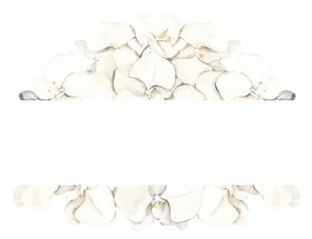 北欧小清新水彩植物图案