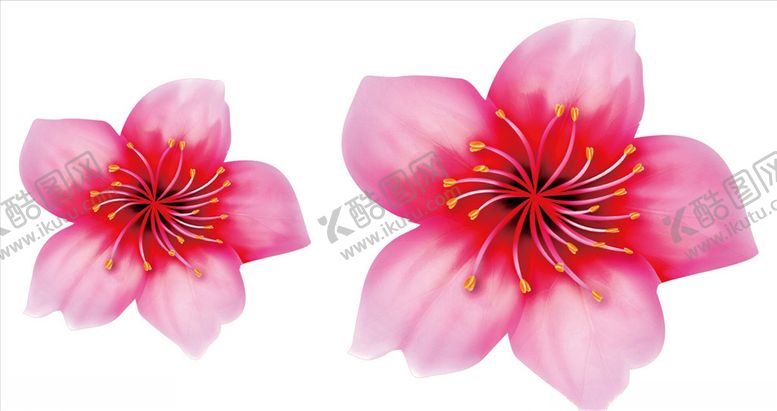 编号：40255309190228129387【酷图网】源文件下载-桃花