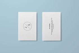 名片样机高档LOGOvisVI