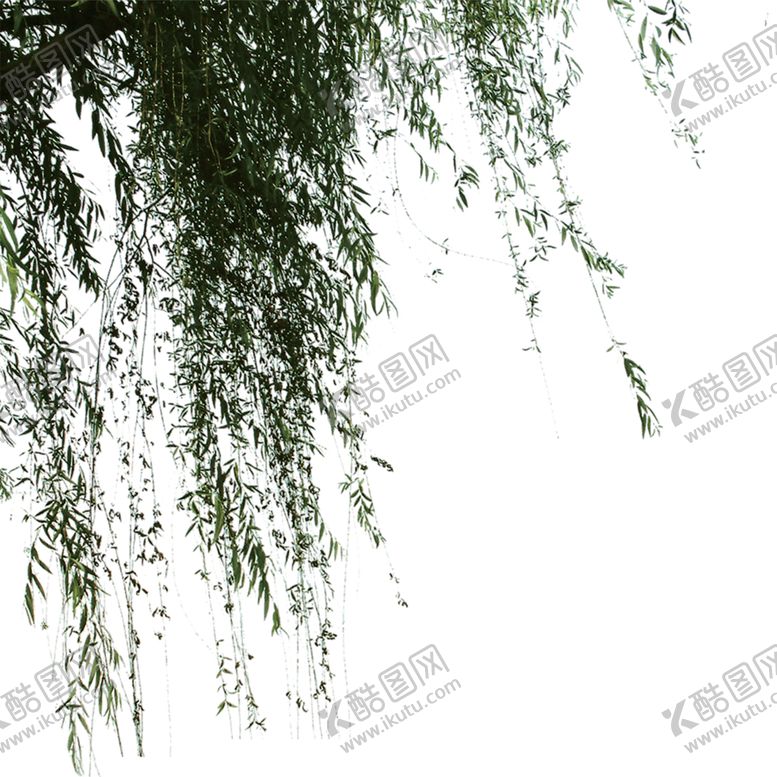 编号：49508206281720347154【酷图网】源文件下载-绿色装饰