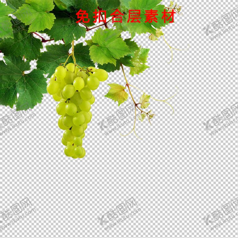 编号：50263809131026582461【酷图网】源文件下载-葡萄