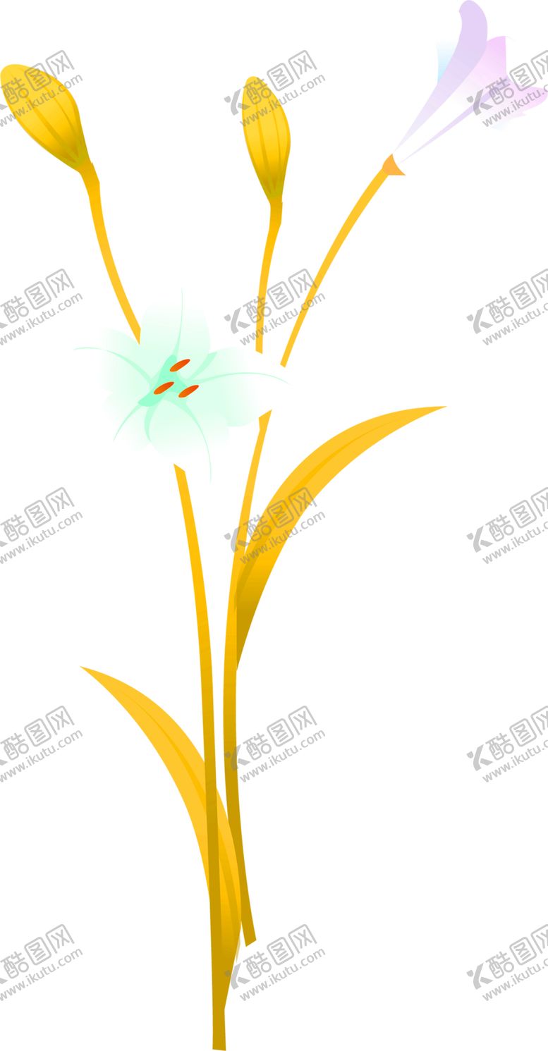 编号：15453805150144244108【酷图网】源文件下载-花素材