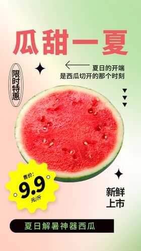 夏季西瓜活动海报