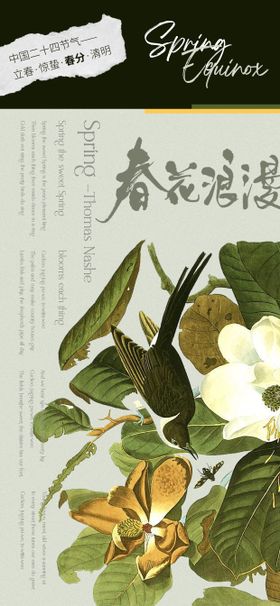 春分海报花地产二十四节气