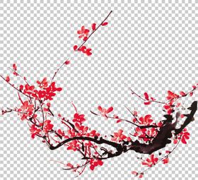 透明底梅花