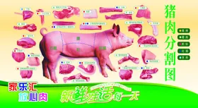 猪肉分割图