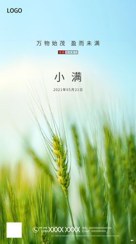 小满节气海报