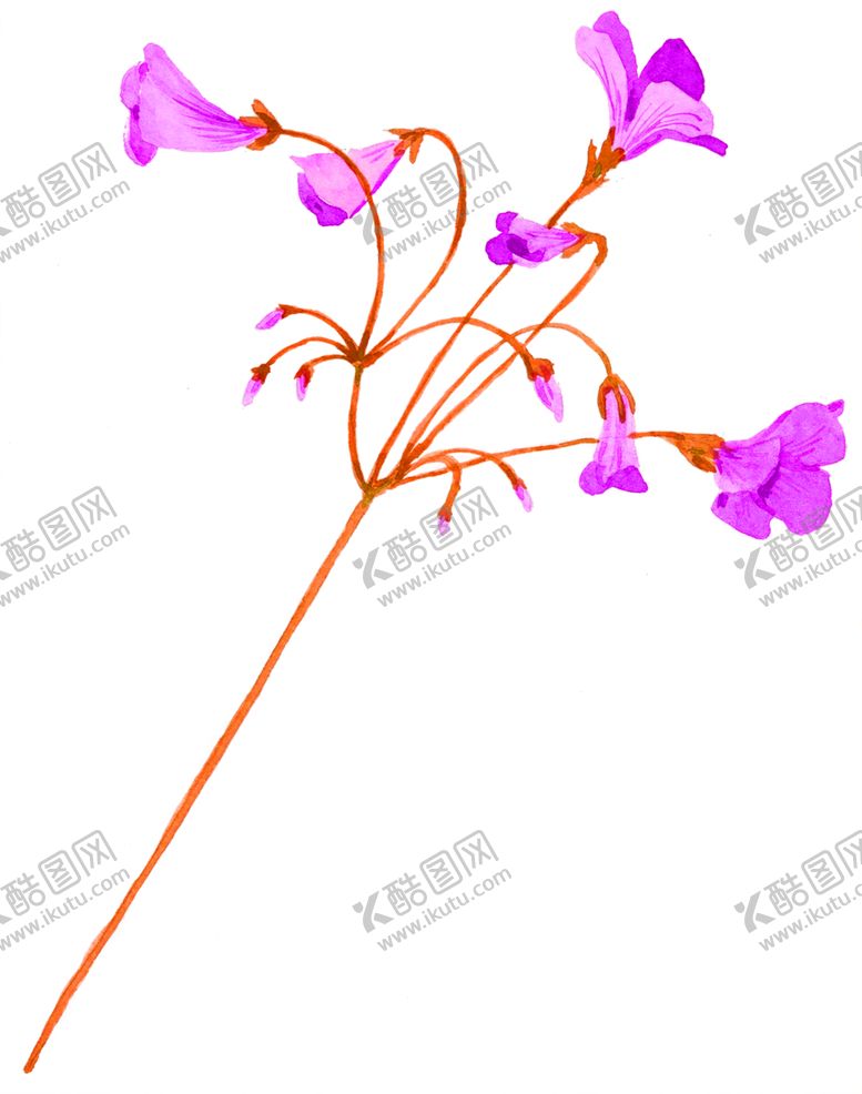 编号：80068610300055219962【酷图网】源文件下载-鲜花素材