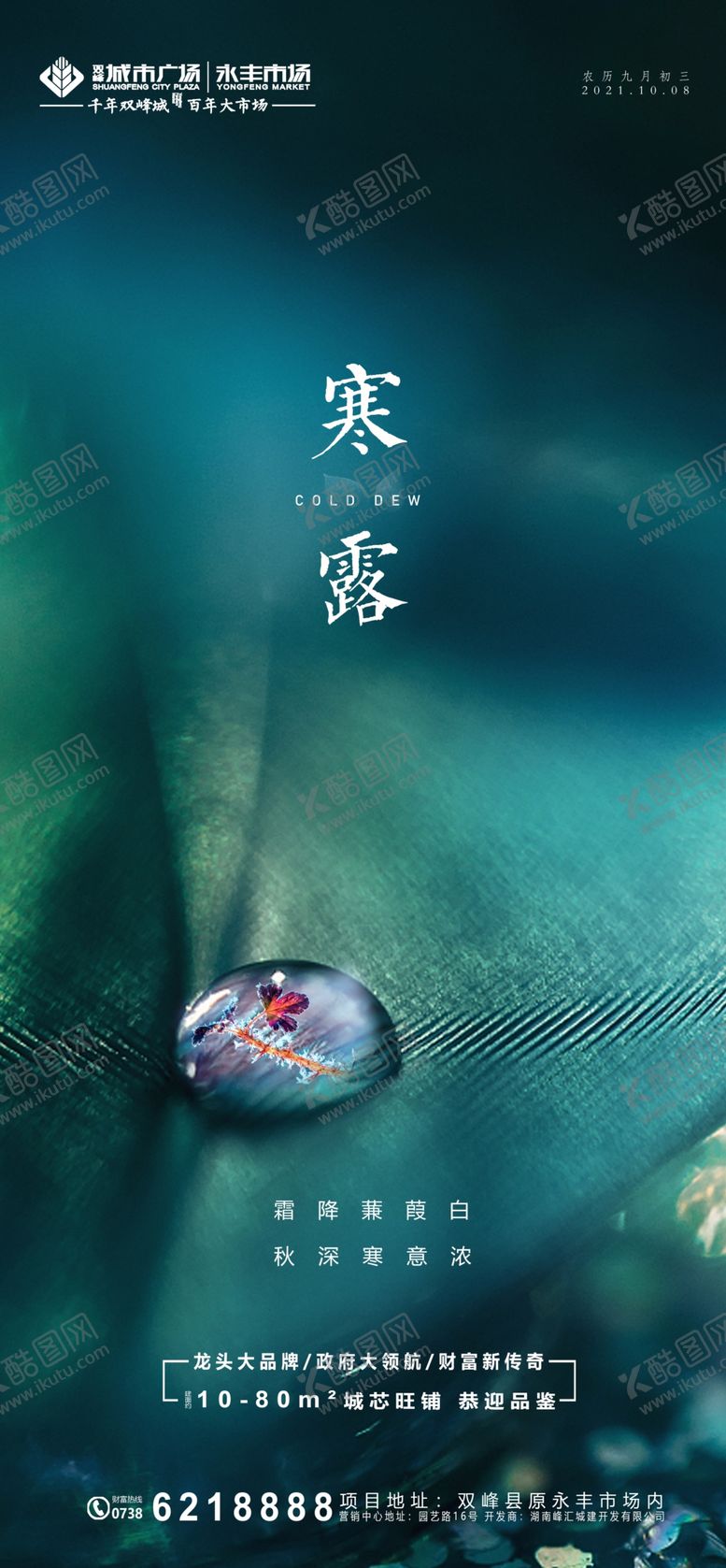 编号：10873509281559502184【酷图网】源文件下载-地产寒露海报