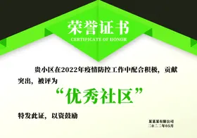 荣誉证书收藏颁奖底纹
