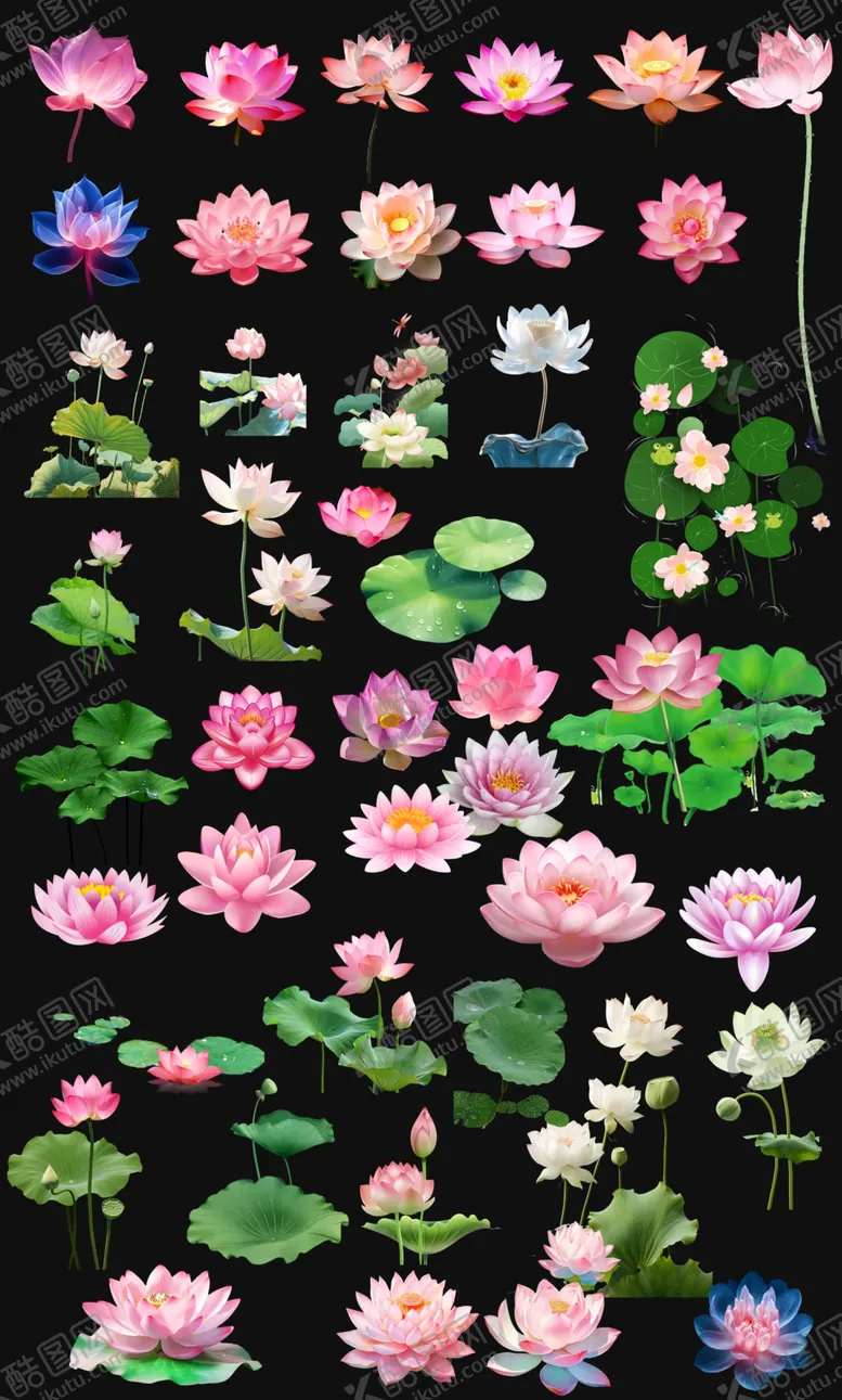 编号：39040002141412199640【酷图网】源文件下载-夏季荷花手绘插画png素材
