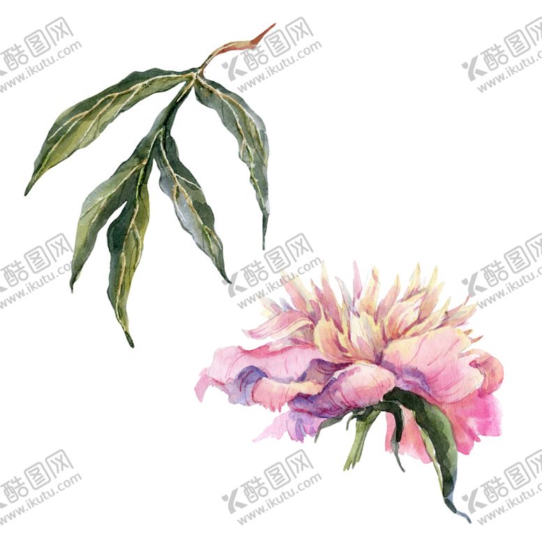 编号：32119305191155183241【酷图网】源文件下载-手绘植物