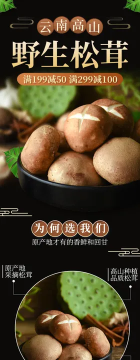 野生松茸蘑菇详情详情描述