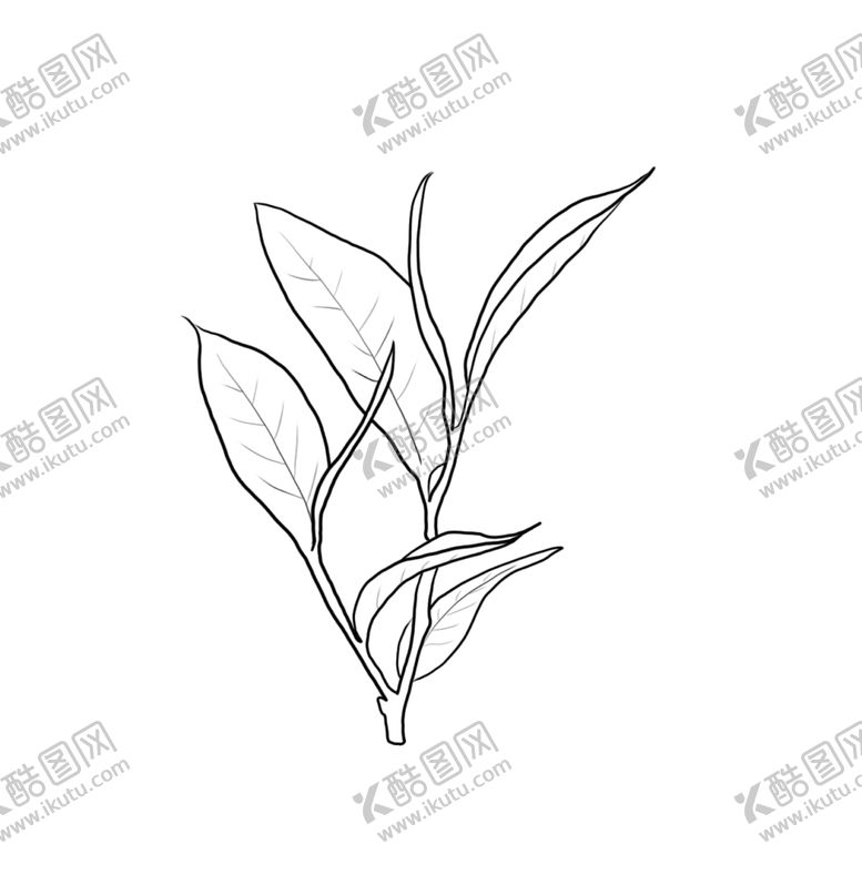 编号：50572406271201048795【酷图网】源文件下载-茶叶