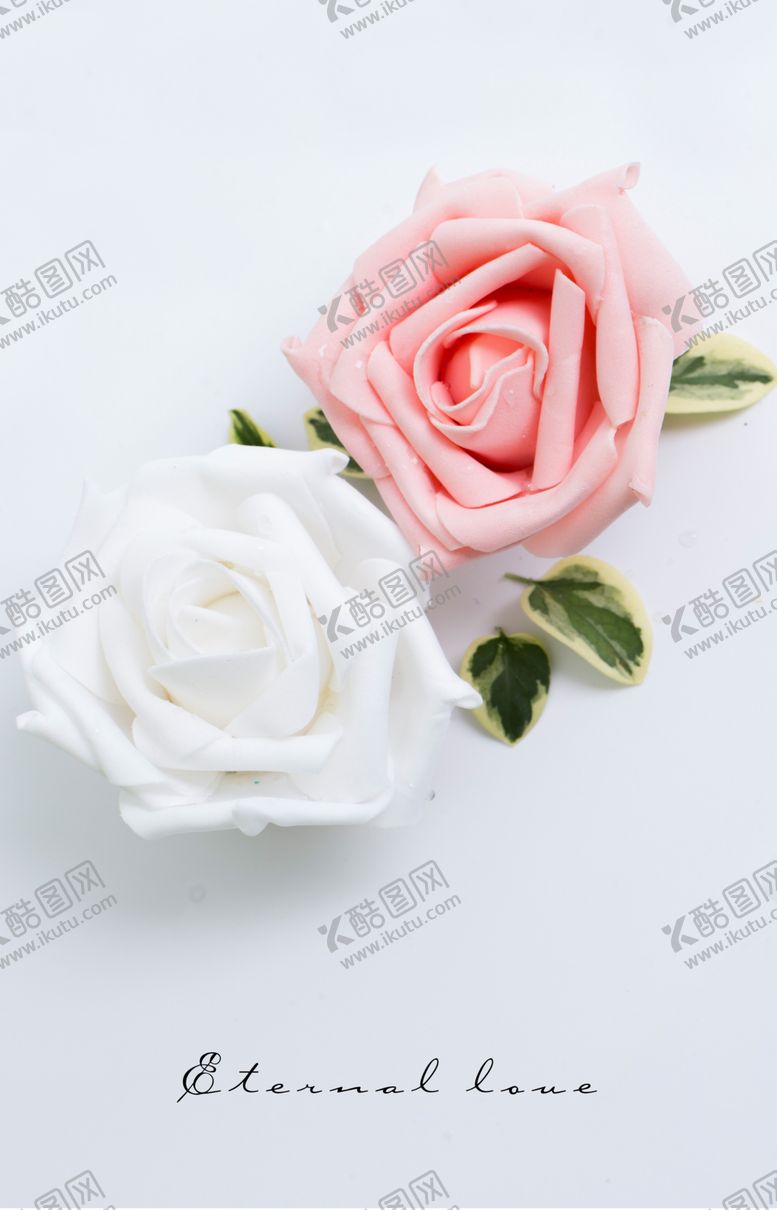 编号：67754503260206596139【酷图网】源文件下载-月季花花卉