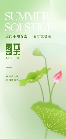 绿色夏至24节气海报