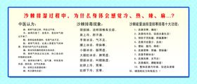 沙棘