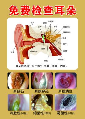 免费检查耳朵