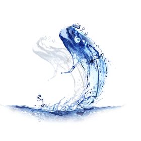 水滴鱼水珠装饰背景海报素材