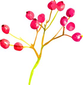 鲜花装饰矢车菊郁金香桔梗