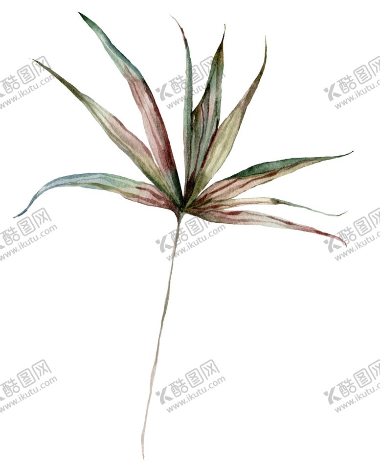 编号：78774110190930577595【酷图网】源文件下载-植物花朵装饰图案