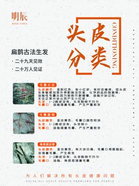 头皮分类