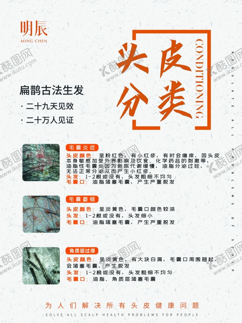编号：65233506232227258492【酷图网】源文件下载-头皮分类