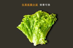 生菜火锅麻辣烫