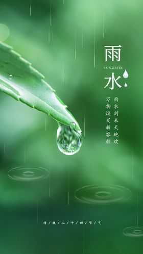 雨水