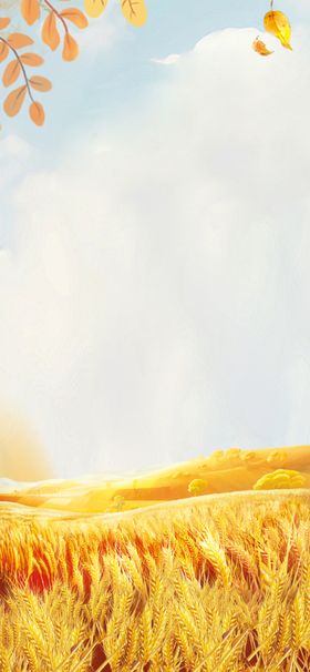 小清新24节气小满丰收插画背景