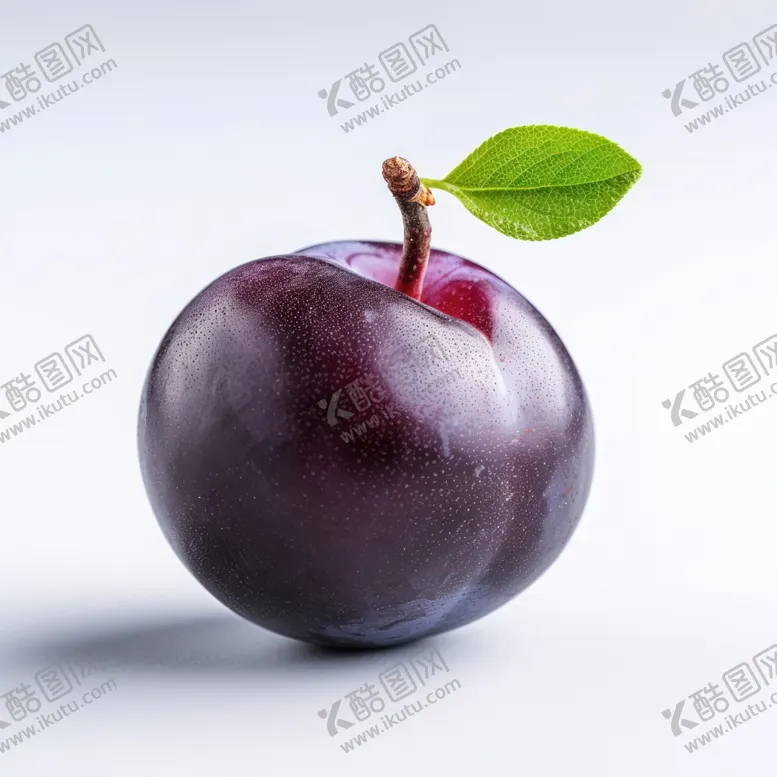 编号：63795601121417545222【酷图网】源文件下载-李子