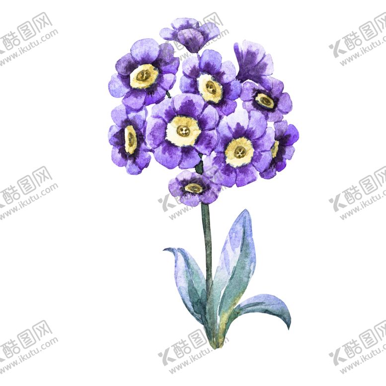 编号：13344306262040072900【酷图网】源文件下载-手绘植物