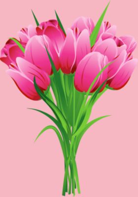 百合花一朵束素材