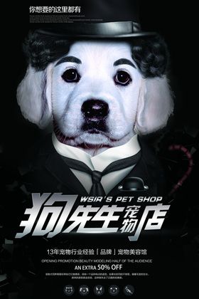 宠物海报