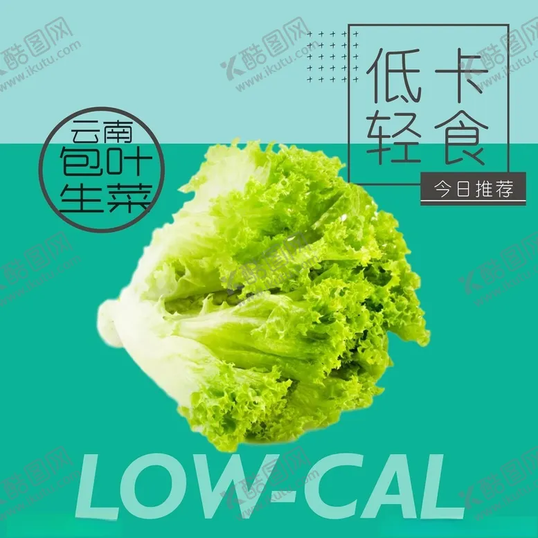 编号：15195012201519526575【酷图网】源文件下载-生菜海报