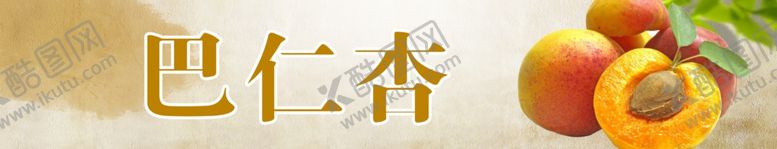 编号：59319702100417322424【酷图网】源文件下载-杏子