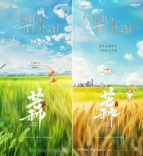 芒种小麦麦田风景海报