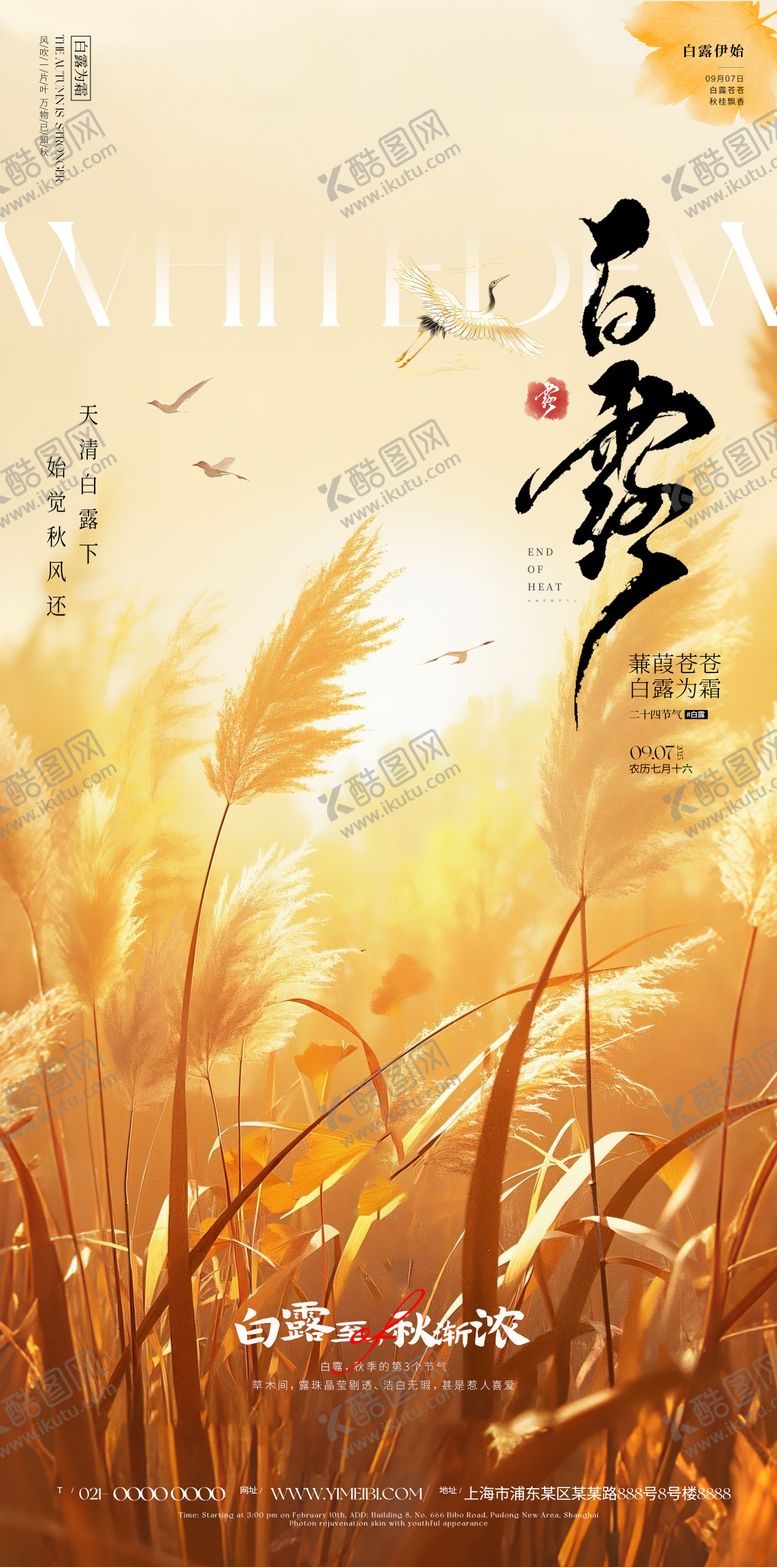 编号：97089410252304535996【酷图网】源文件下载-白露海报