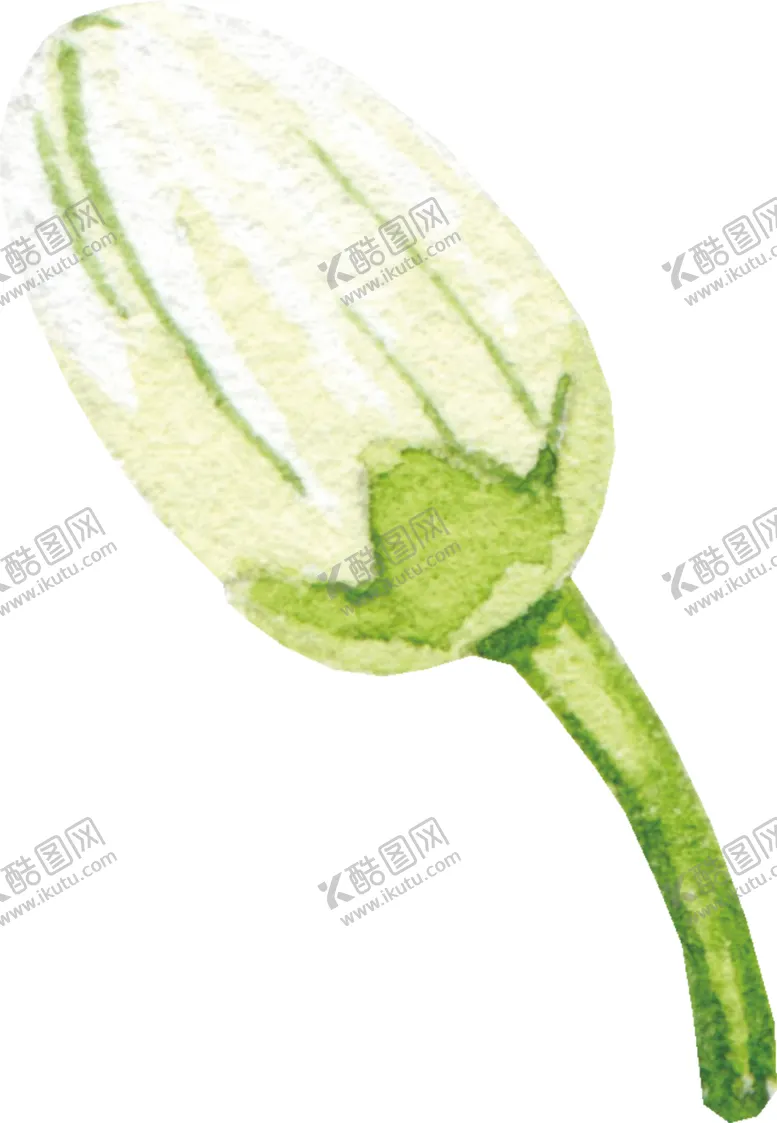 编号：76531602090146117433【酷图网】源文件下载-花卉手绘