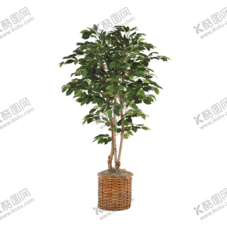 编号：91570010170412358931【酷图网】源文件下载-免抠背景花草树木