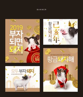 2019财富小猪